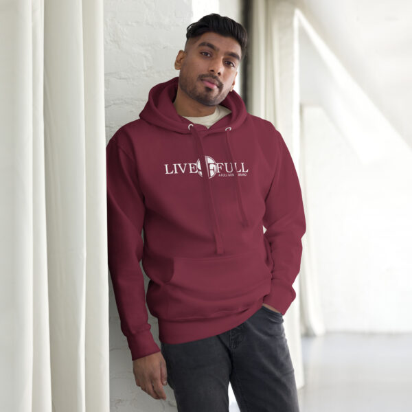unisex-premium-hoodie-maroon-front-630653c1442ee.jpg